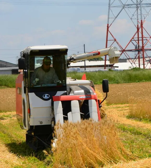 はたえ祐介イメージ